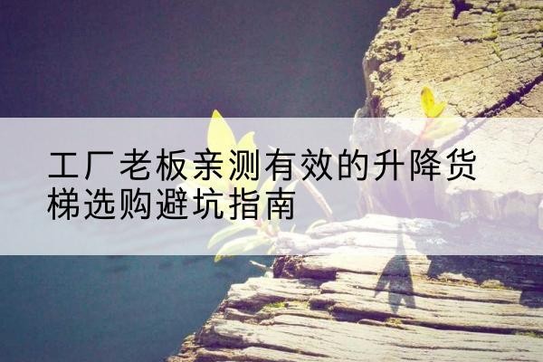 噶尔升降货梯怎么选-工厂老板亲测有效的升降货梯选购避坑指南