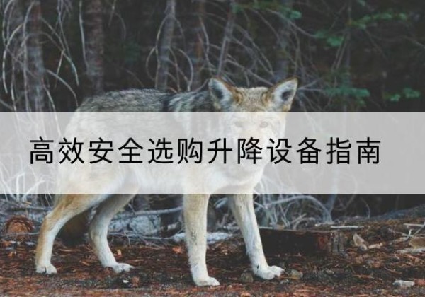 噶尔升降货梯厂家推荐-*安全选购升降设备指南