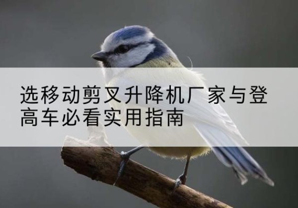 噶尔电动升降机厂家-选移动剪叉升降机厂家与登高车必看实用指南