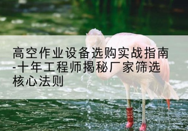 噶尔剪叉式升降机厂家-高空作业设备选购实战指南-十年工程师揭秘厂家筛选核心法则