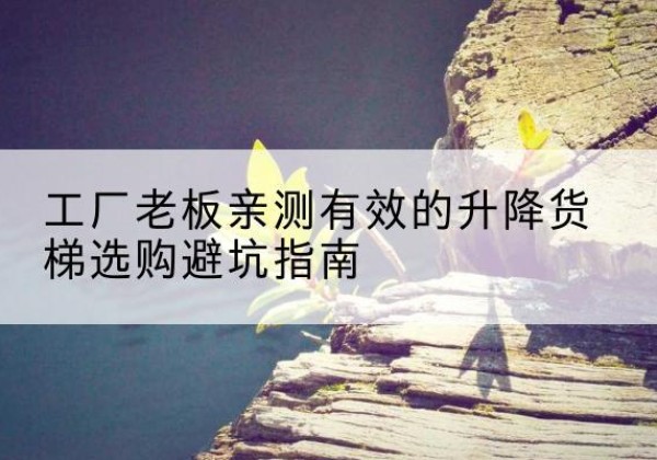 噶尔升降货梯怎么选-工厂老板亲测有效的升降货梯选购避坑指南